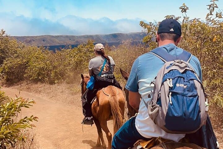 Sierra Negra Volcano Galapagos Horseback Riding & Hiking: Summit Ride and Lava-Field Hike photo 3