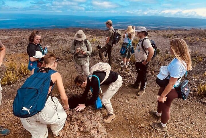 Sierra Negra Volcano Galapagos Horseback Riding & Hiking: Summit Ride and Lava-Field Hike photo 6