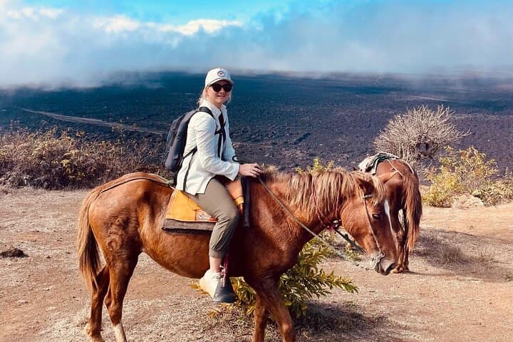 Sierra Negra Volcano Galapagos Horseback Riding & Hiking: Summit Ride and Lava-Field Hike photo 4