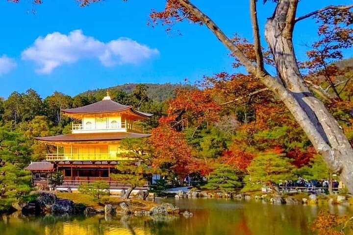 Private Kyoto and Nara Day Trip by Luxury Car: Customizable Cultural Tour photo 3