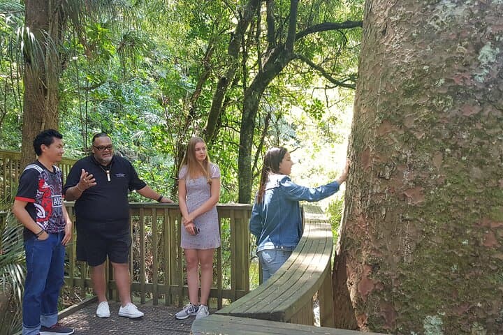 Maori Cultural Connection: Shore Excursion in the Bay of Islands photo 3