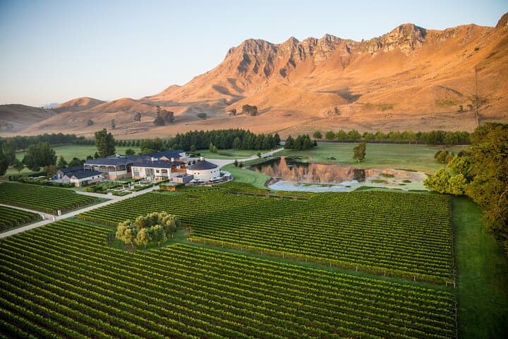 Craggy Range Deluxe Wine Tour: Private Winery Tastings & Te Mata Peak Panorama photo 2