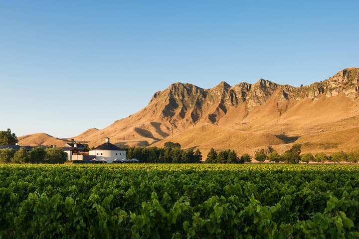 Craggy Range Deluxe Wine Tour: Private Winery Tastings & Te Mata Peak Panorama photo 1