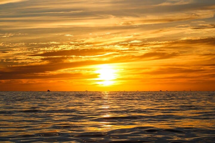 Cabo Sunset Cruise to El Arco — Glass-Bottom Boat & Whale-Spotting photo 6