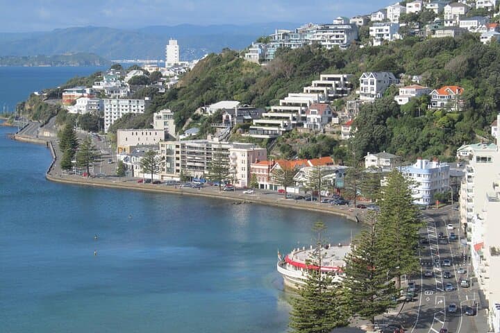Wellington Private One-Day Tour — Mount Victoria, Te Papa & Weta Workshop photo 4