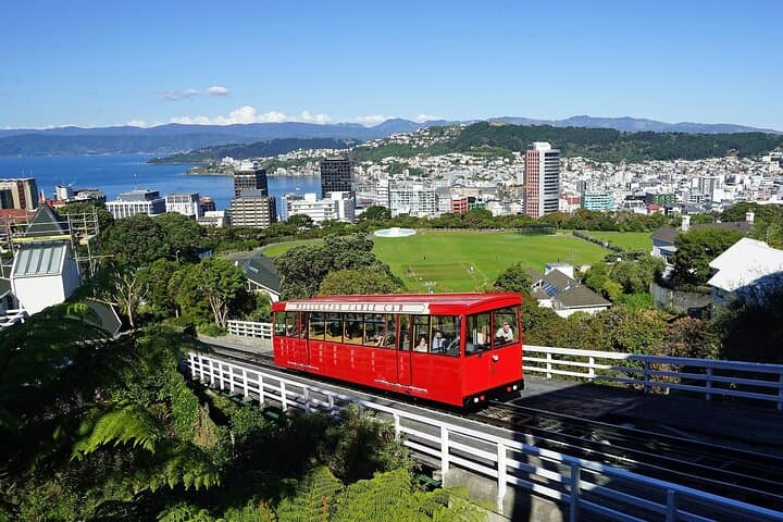 Wellington Private One-Day Tour — Mount Victoria, Te Papa & Weta Workshop