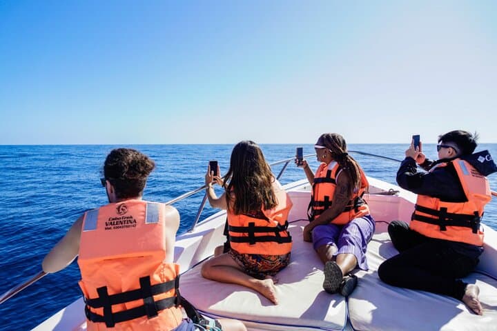 Cabo Arch Tour: El Arco Boat Cruise to Land’s End photo 6