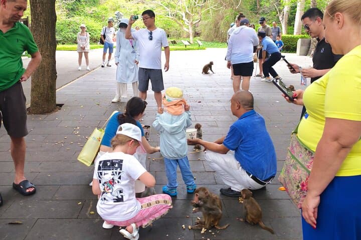 Nanwan Monkey Island & Dan Floating Village: Hainan Cable Car, Monkeys & Seafood Feast photo 5