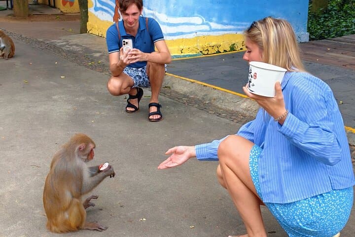 Nanwan Monkey Island & Dan Floating Village: Hainan Cable Car, Monkeys & Seafood Feast photo 6