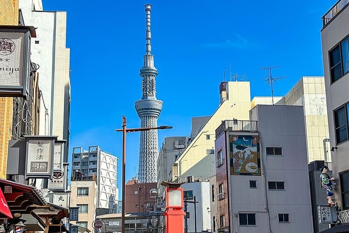 4-Day Tokyo to Hakone & Mt Fuji: Mini Group Tour from Tokyo with Lake Ashi Cruise photo 6