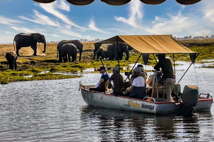 Chobe Half-Day River Safari from Victoria Falls — Morning Cruise to See Swimming Elephants photo 4