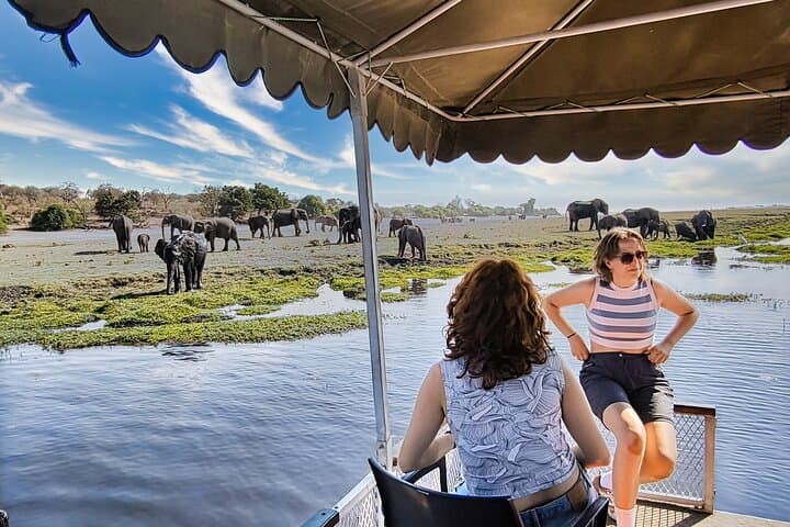 Chobe Half-Day River Safari from Victoria Falls — Morning Cruise to See Swimming Elephants