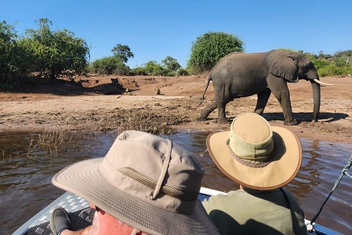 Chobe River Half-Day Safari: Elephants & Wildlife from Kasane