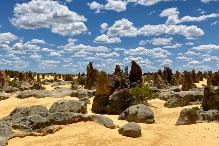 Pinnacles Day Tour from Perth — Yanchep, Nambung Pinnacles & Lancelin Dunes