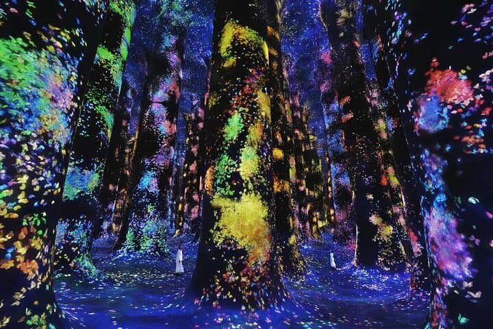 teamLab Phenomena Abu Dhabi: Interactive Digital Art on Saadiyat Island photo 2