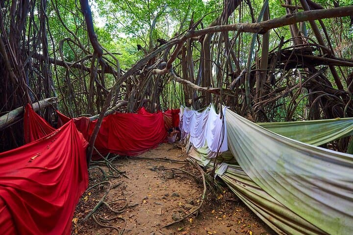 Nosy Be: 3-Day Cultural, Rainforest & Snorkeling Experience photo 3