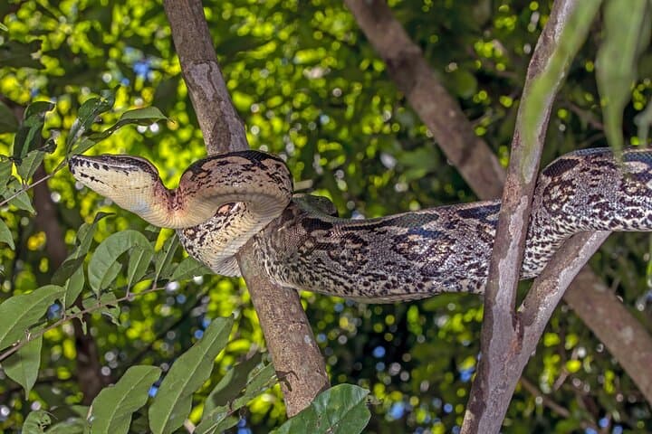 Nosy Be: 3-Day Cultural, Rainforest & Snorkeling Experience photo 5
