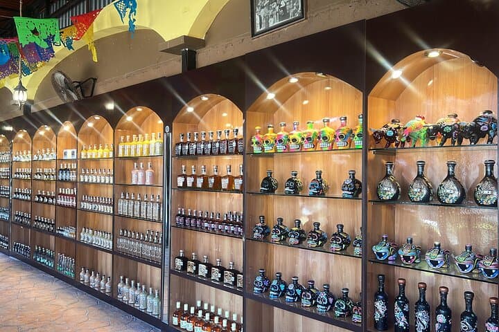 Cozumel Sips and Soles: Tequila, Mezcal & Espadrilles Tour photo 6