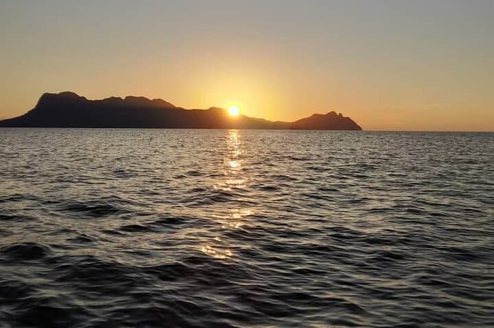 Bako National Park Night Walk: Proboscis Monkeys, Pit Vipers & Coastal Cliffs from Kuching photo 6