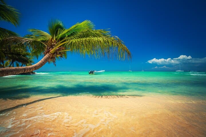 Miches Catamaran to Saona Island: Full-Day Saona Island Excursion with Buffet Lunch photo 3