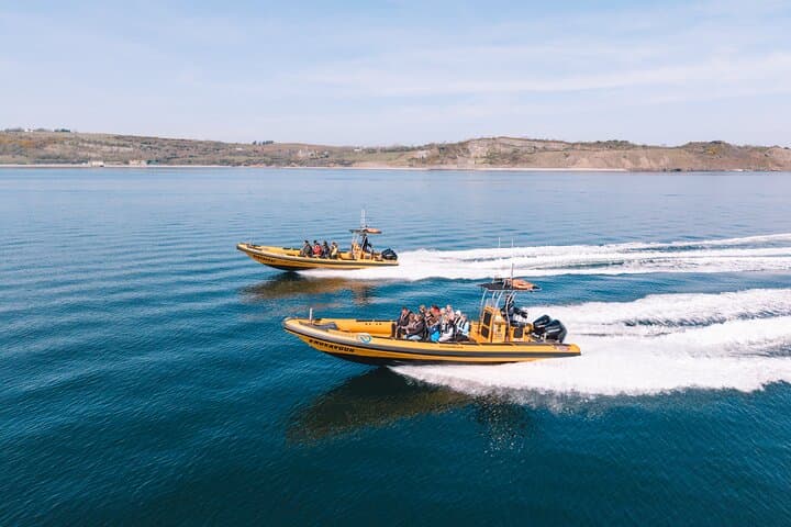 High-Speed RIB Wildlife Boat Trips to Puffin Island from Anglesey photo 2
