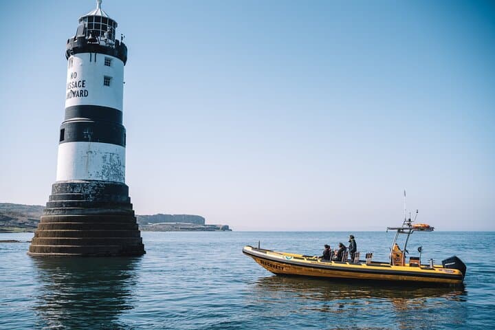 High-Speed RIB Wildlife Boat Trips to Puffin Island from Anglesey photo 5