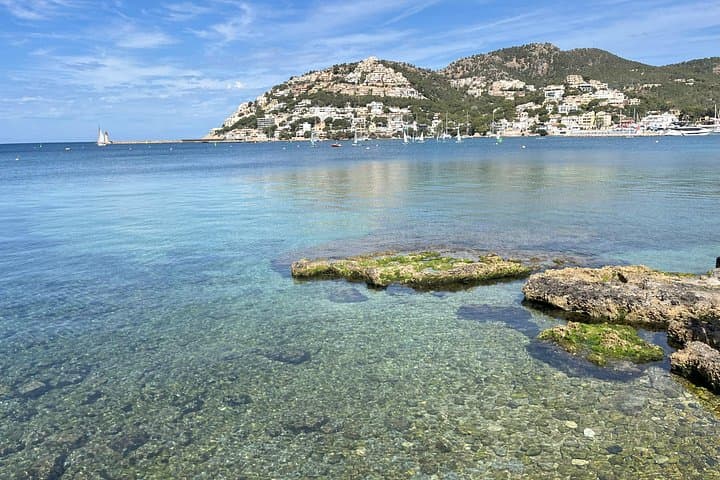 Private Coastal Mallorca Tour — Sant Elm, Camp de Mar & Port d'Andratx in One Day photo 4
