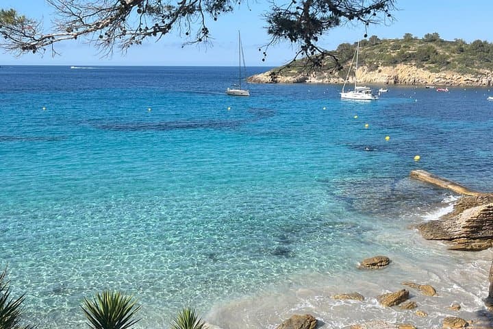 Private Coastal Mallorca Tour — Sant Elm, Camp de Mar & Port d'Andratx in One Day photo 2