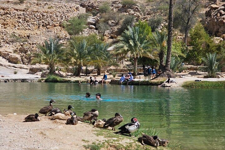 Wadi Bani Khalid & Wahiba Sands: 2-Day Desert Escape from Muscat photo 5