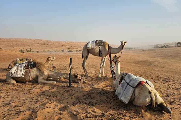 Wadi Bani Khalid & Wahiba Sands: 2-Day Desert Escape from Muscat photo 3