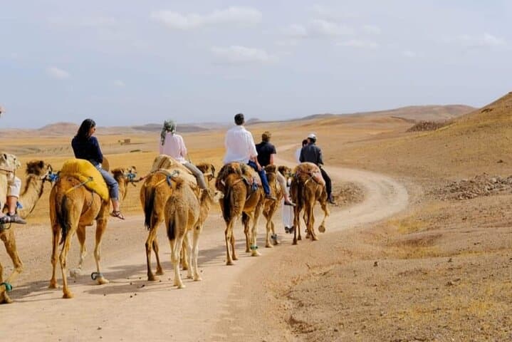 Agafay Desert Quad Biking and Camel Ride with Dinner & Traditional Show photo 3