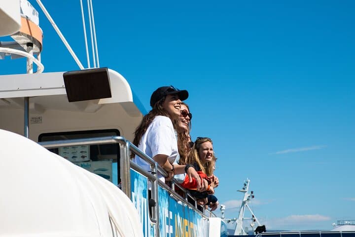 Whale Watching Express in Faxafloi Bay — Reykjavik 2-Hour Cruise photo 5