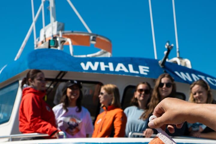 Whale Watching Express in Faxafloi Bay — Reykjavik 2-Hour Cruise photo 6