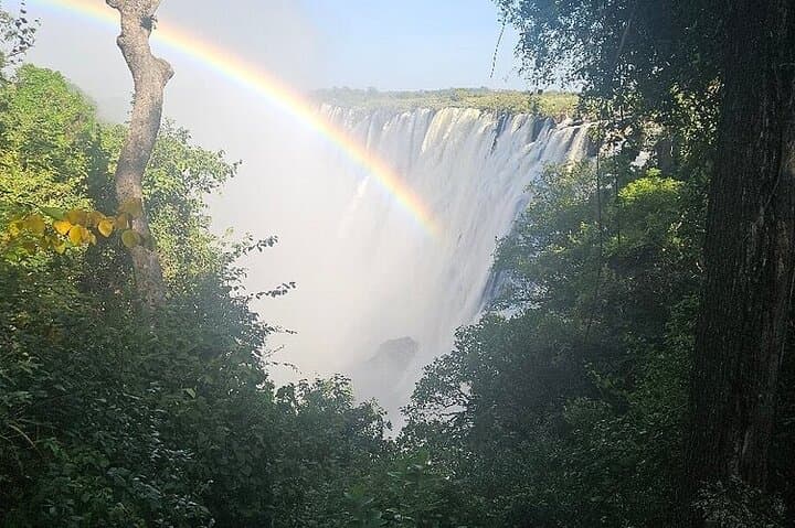Victoria Falls Private Guided Tour — Both Sides of Mosi-oa-Tunya (Zimbabwe & Zambia) photo 3
