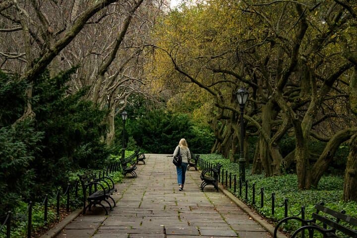 VIP Private Sightseeing Tour of Manhattan — Custom Manhattan Van Experience photo 4