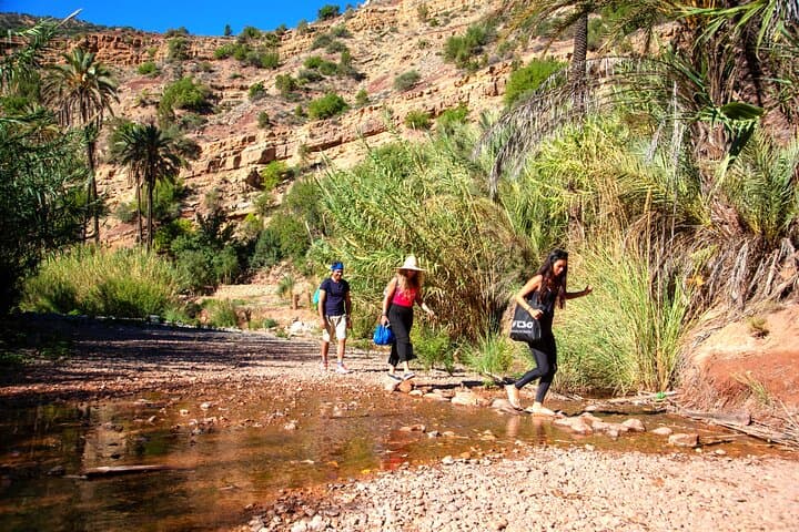 7-Night Surf & Travel Package in Morocco — Taghazout Camp, Imssouane & Paradise Valley photo 4