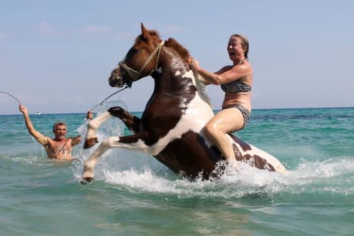 Zakynthos Horseback Riding & Beach Swim Experience