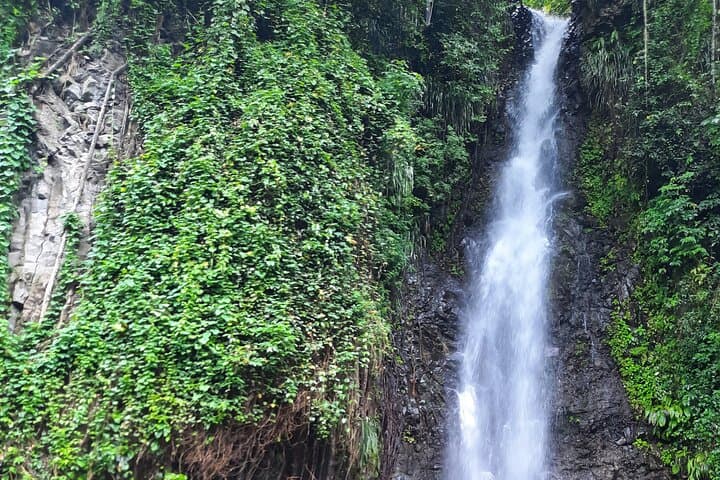 Dark View Falls & West Island Highlights: Full-Day Tour from Kingstown