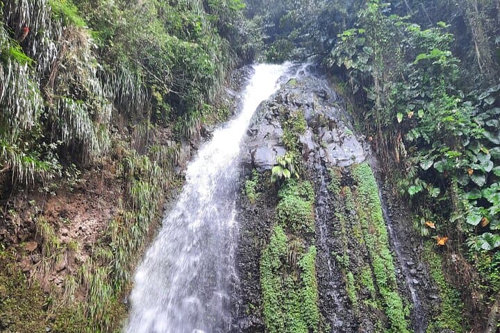 Dark View Falls & West Island Highlights: Full-Day Tour from Kingstown photo 2