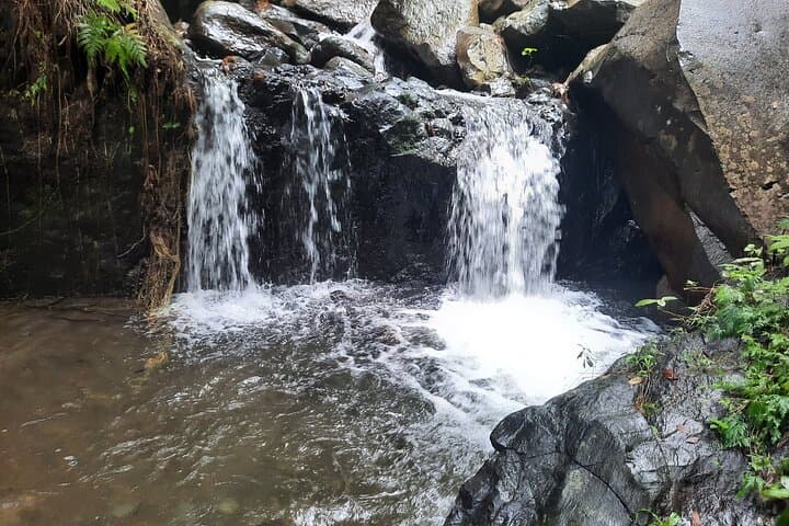Dark View Falls & West Island Highlights: Full-Day Tour from Kingstown photo 3