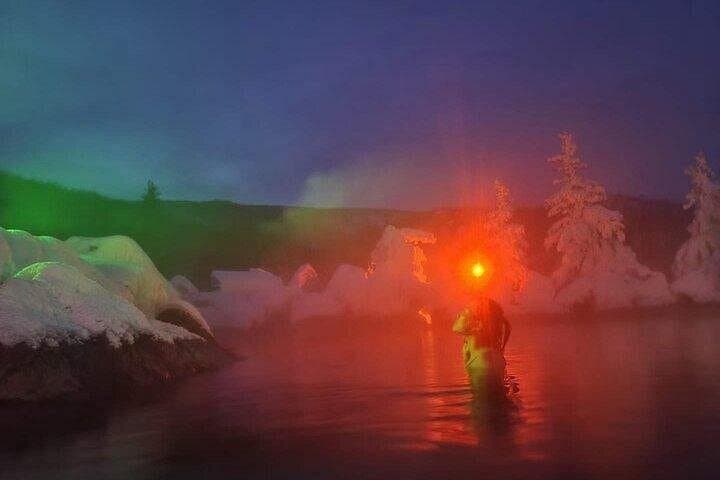 Chena Hot Springs Day Tour from Fairbanks: Soak, Learn, and Explore Geothermal Alaska