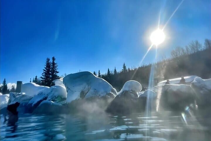 Chena Hot Springs Day Tour from Fairbanks: Soak, Learn, and Explore Geothermal Alaska photo 4
