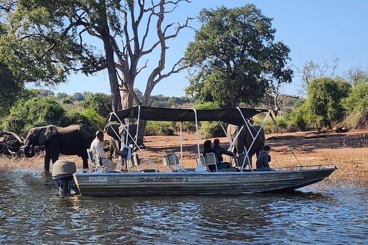 Full Chobe Experience: Sunrise Safari & Sunset River Cruise from Livingstone photo 2