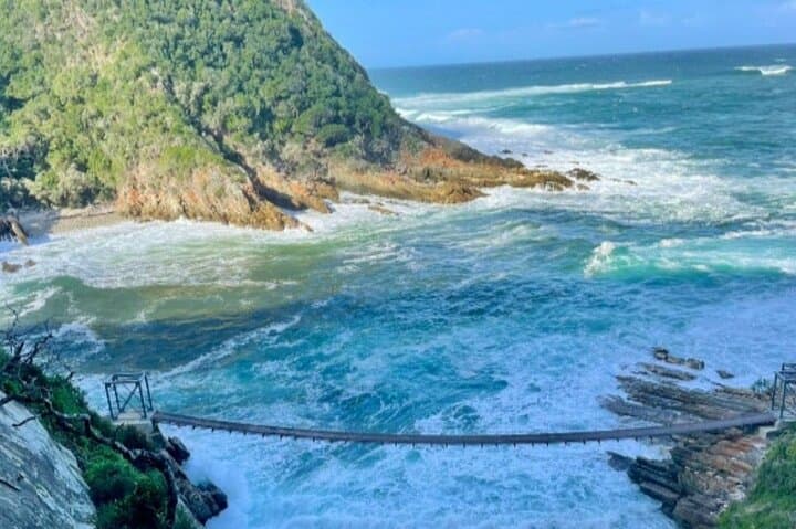 Full-Day Tsitsikama National Park Tour from Port Elizabeth: Big Tree, Storms River & Adventure Options photo 2