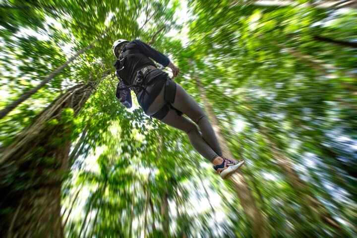 St Lucia Zipline & Aerial Tram Rainforest Canopy Tour photo 5