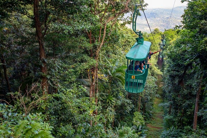 St Lucia Zipline & Aerial Tram Rainforest Canopy Tour photo 2