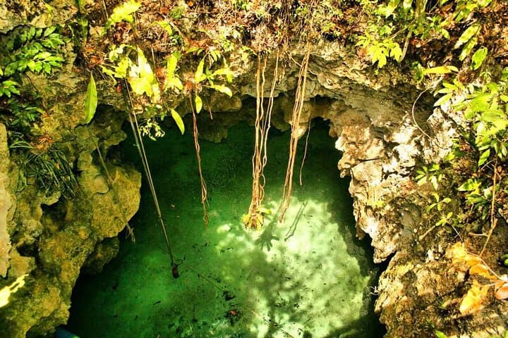 Private Cave and Open Cenote Tour with Lunch in Riviera Maya photo 5