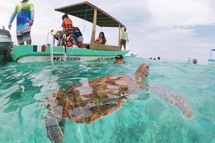 Akumal Turtle Swim & Underground Cenote Private Tour — Snorkel with Sea Turtles and Explore a Freshwater Cavern photo 3