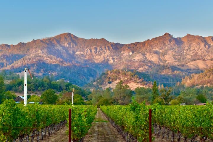Private 6-Hour Napa Wine Adventure: Small Producers, Scenic Drives, and Tasting Tips photo 6