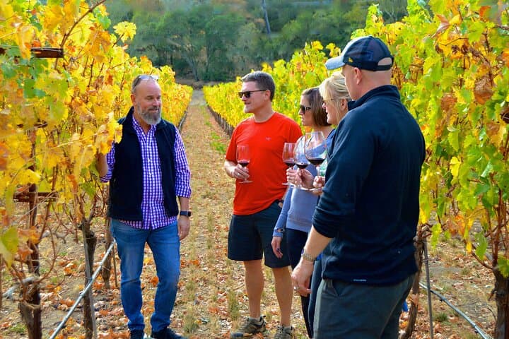 Private 6-Hour Napa Wine Adventure: Small Producers, Scenic Drives, and Tasting Tips